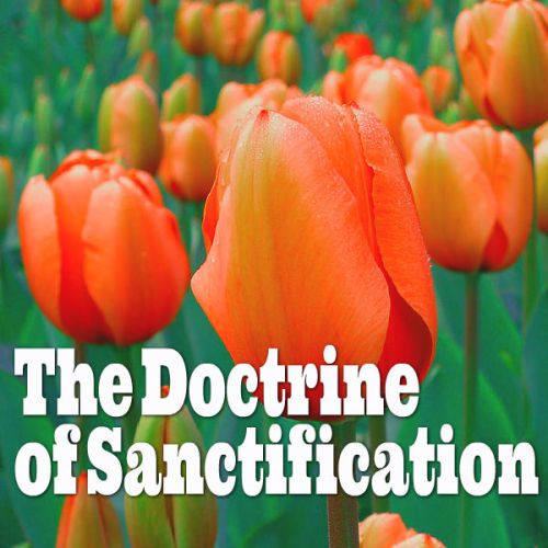 doctrine of sanctification